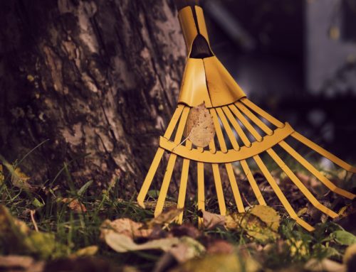 Fall Cleaning Tips for a Sparkling Home