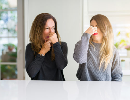 5 Quick Ways to Get Rid of Household Odors