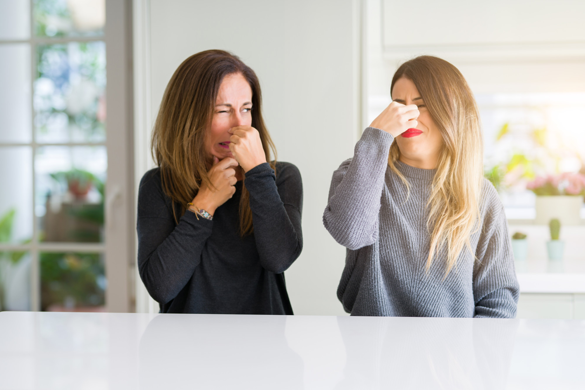 5 Quick Ways To Get Rid Of Household Odors The HomeKeepers